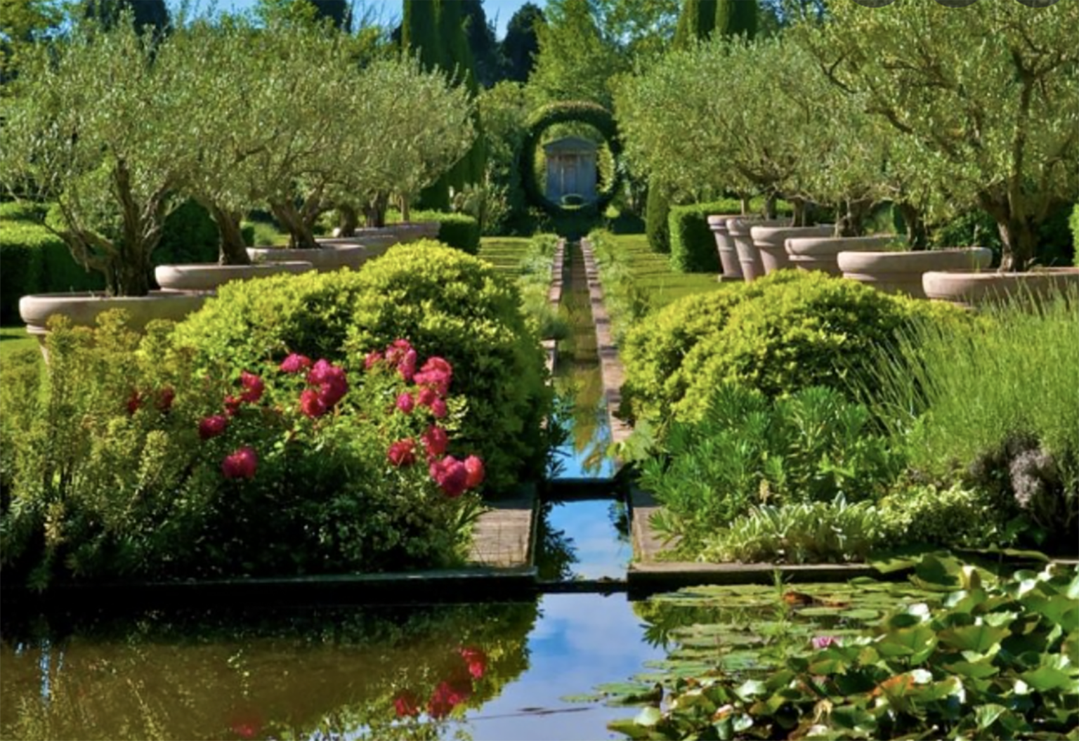 Les confines dominique lafourcade olive allie