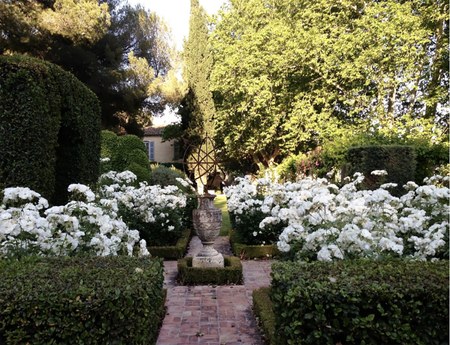 mas de baraquet rose garden