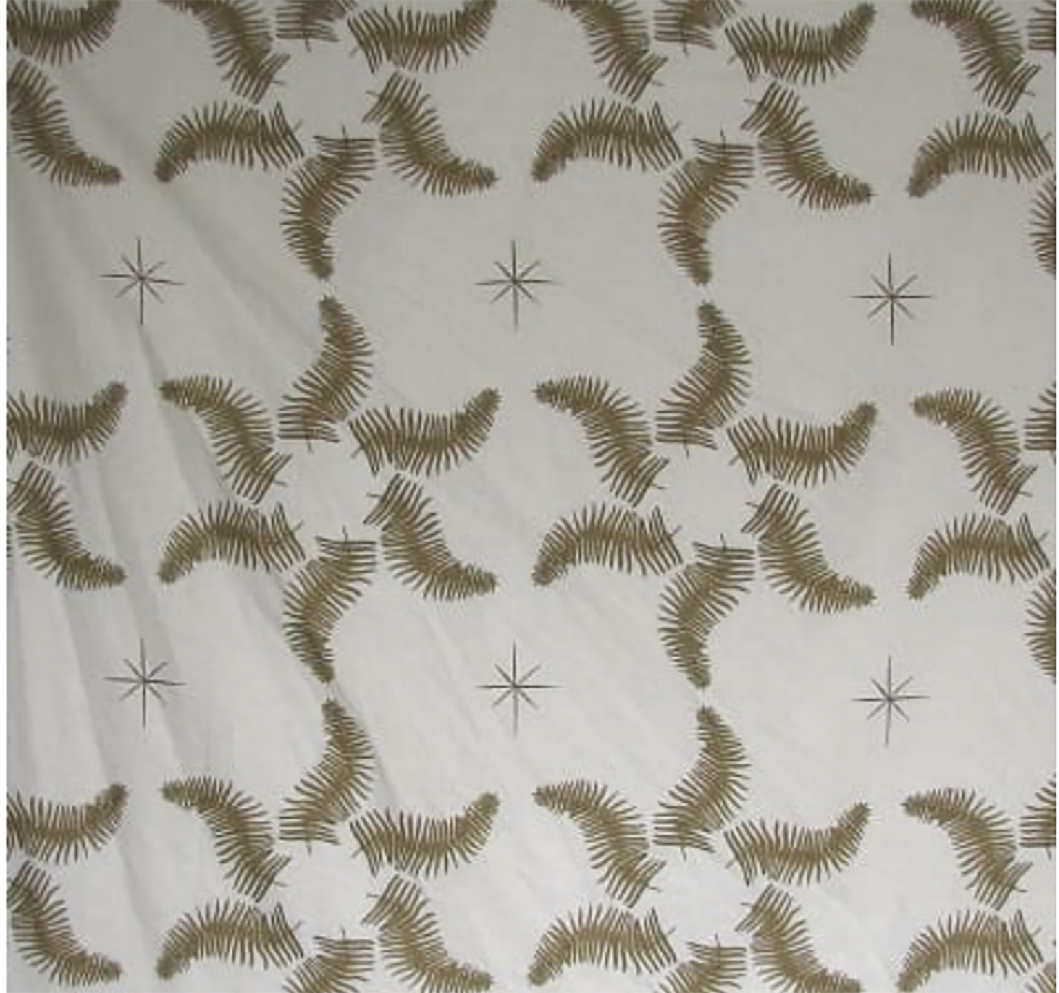 fern star lauren liess