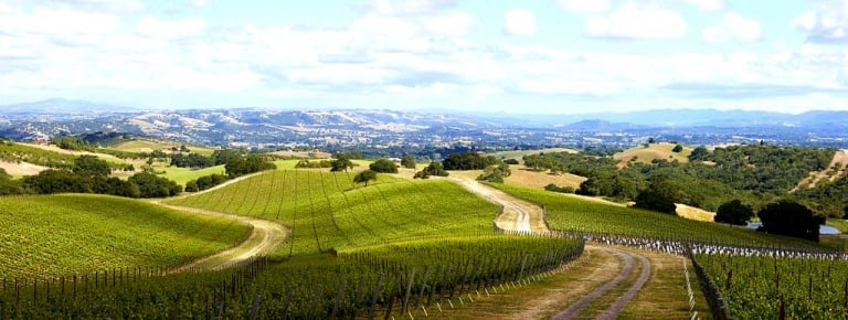 Wine Tasting at Epoch Winery-What to Wear, Pack a Simple Picnic