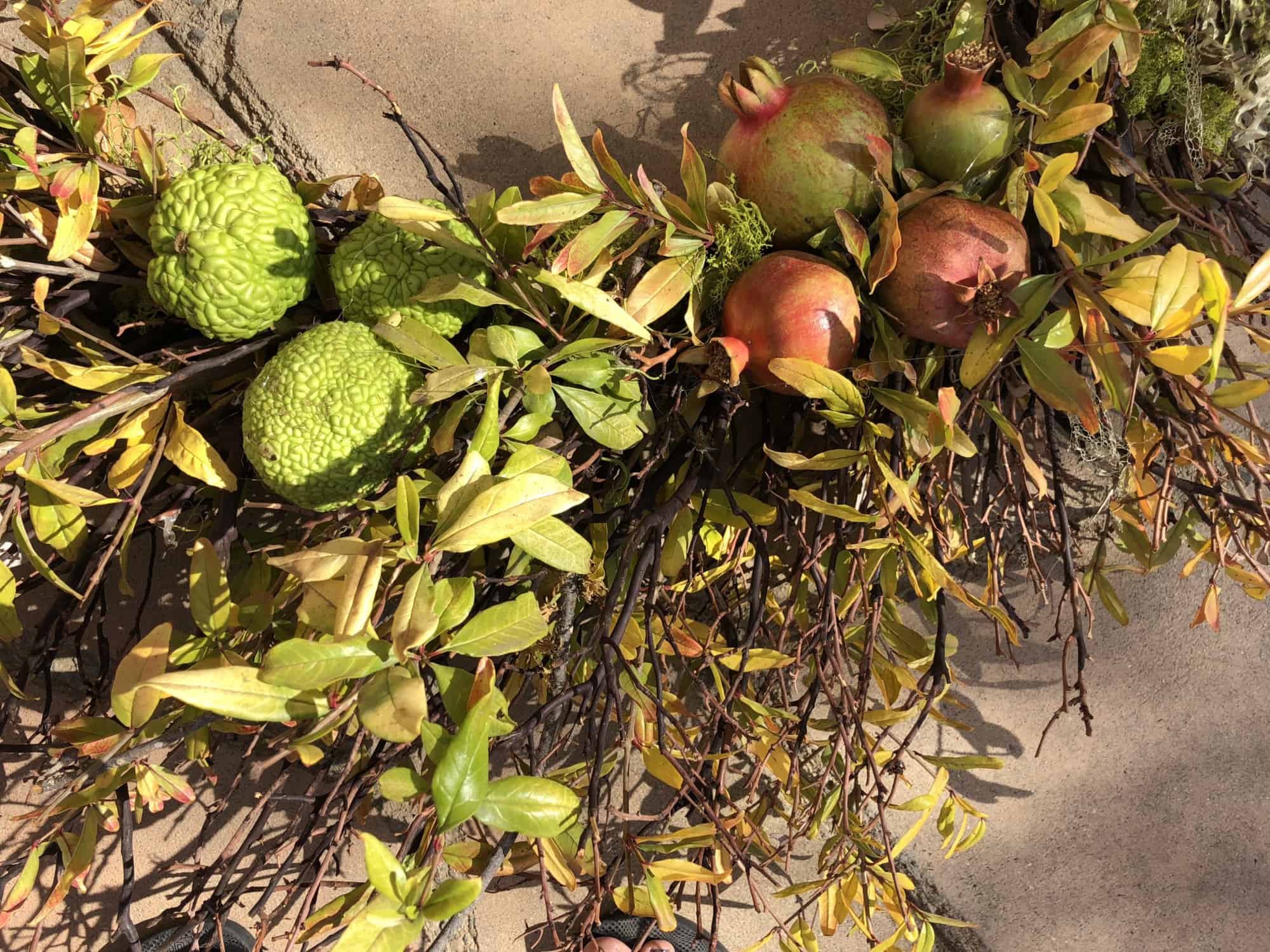 difall wreath from foraged materials