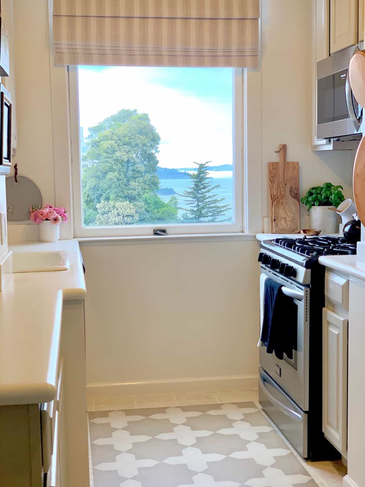 San Francisco Vintage Apartment Kitchen