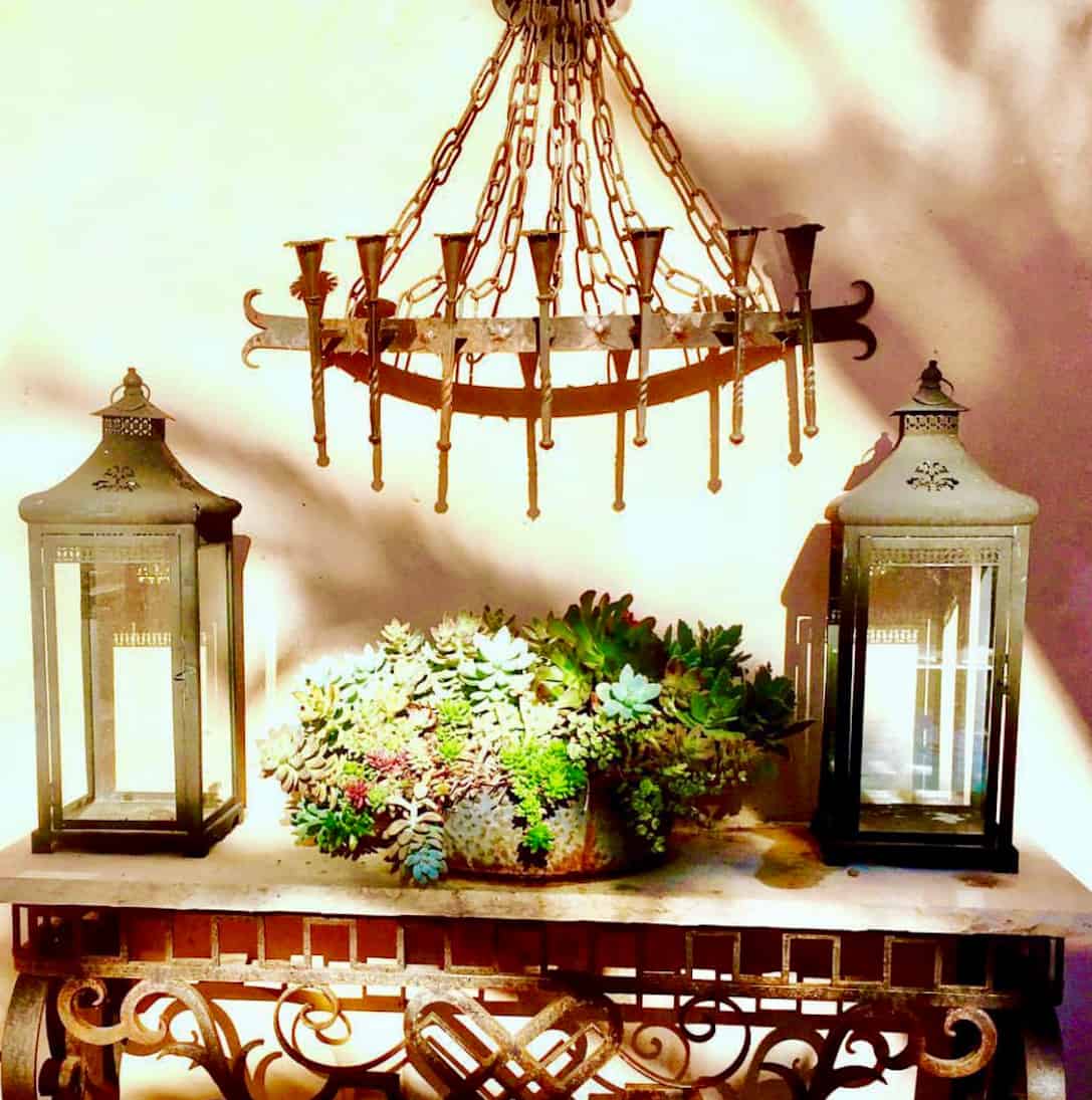 succulents in rust bowl