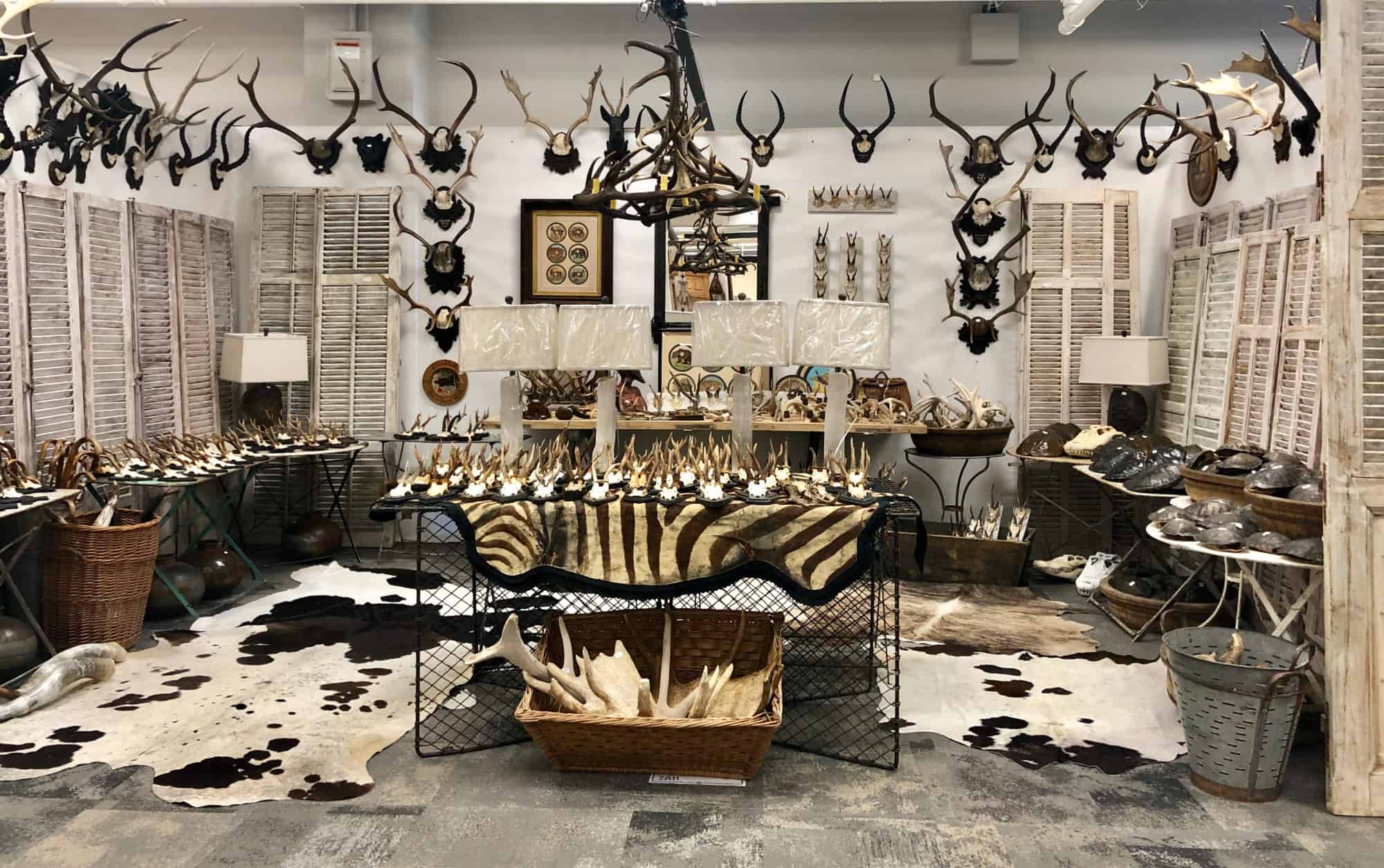 antlers and hides at Americas Mart 
