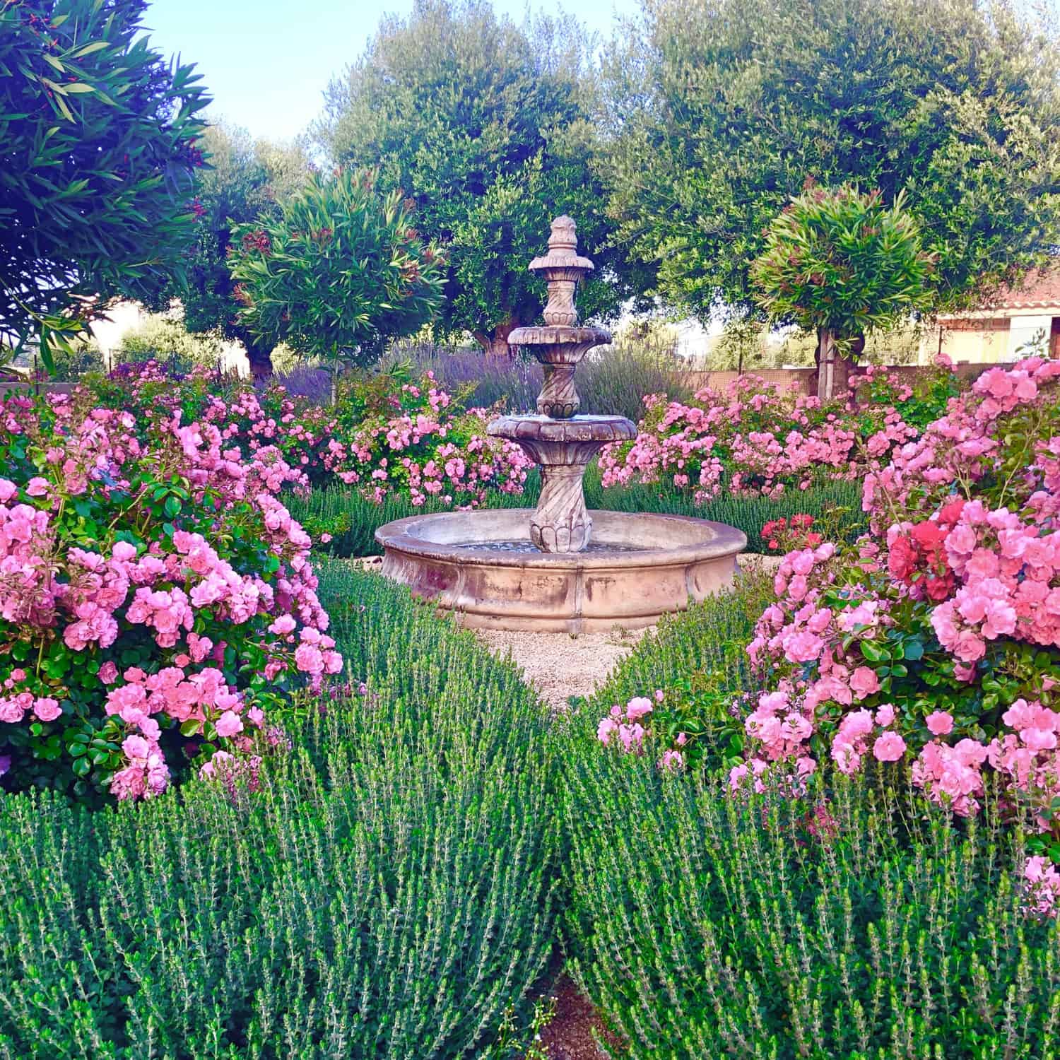 cindy hattersley s fountain surrounded by roses