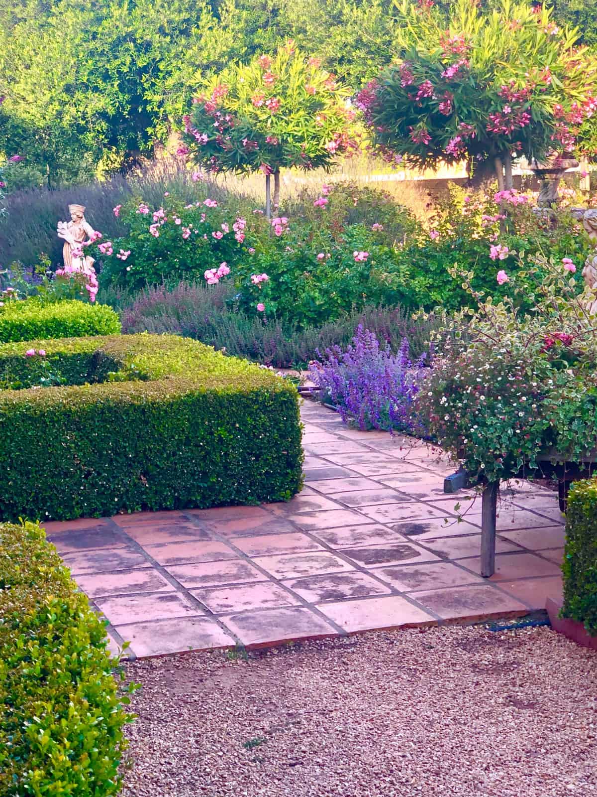 moss covered walkwaymo