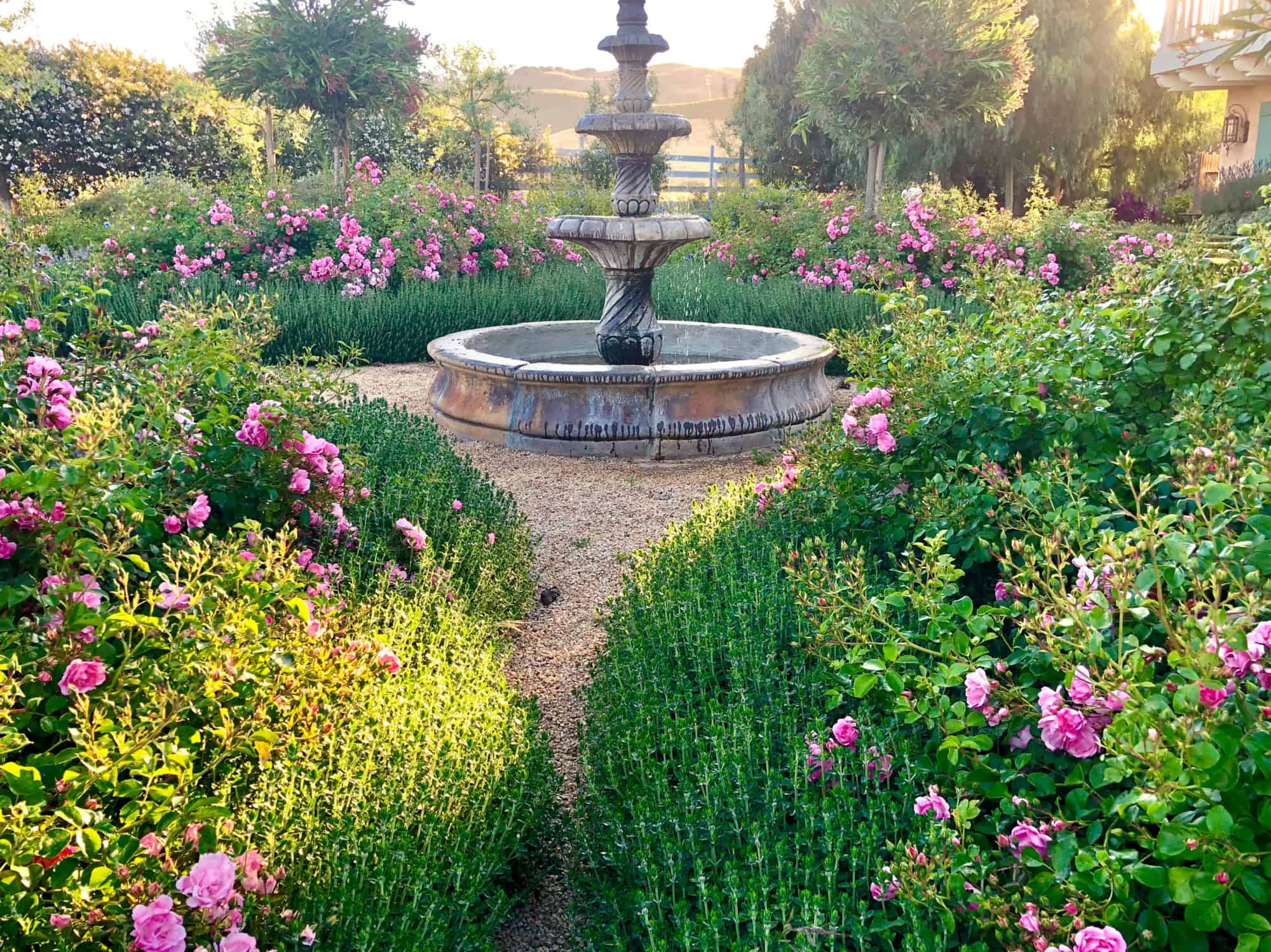 cin in her gardendy hattersley fountain area