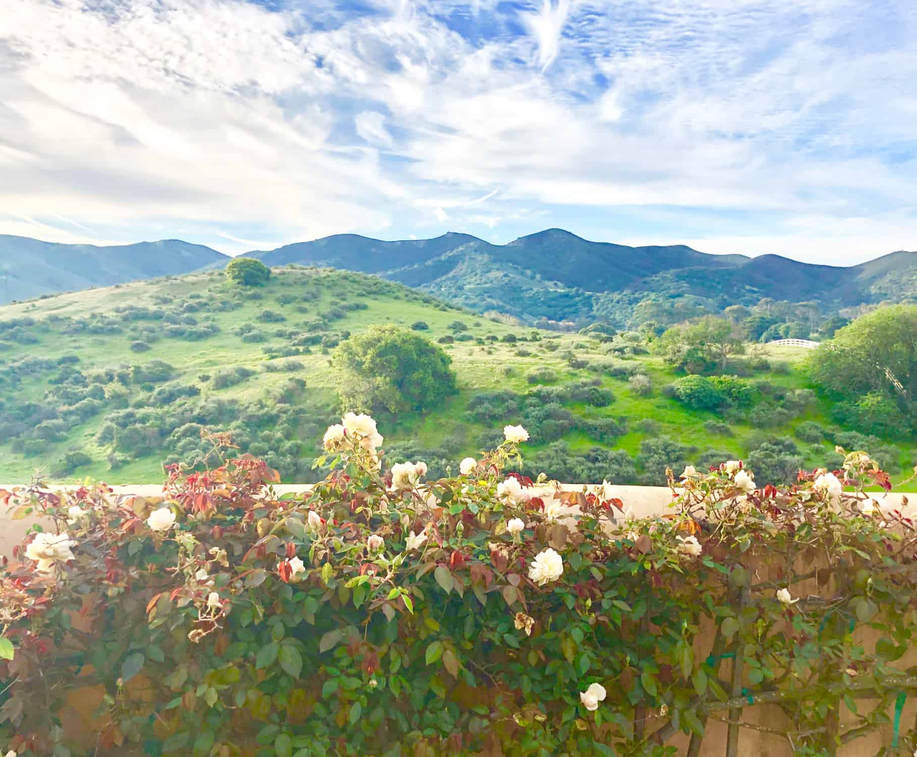 the importance of structure in the garden part two