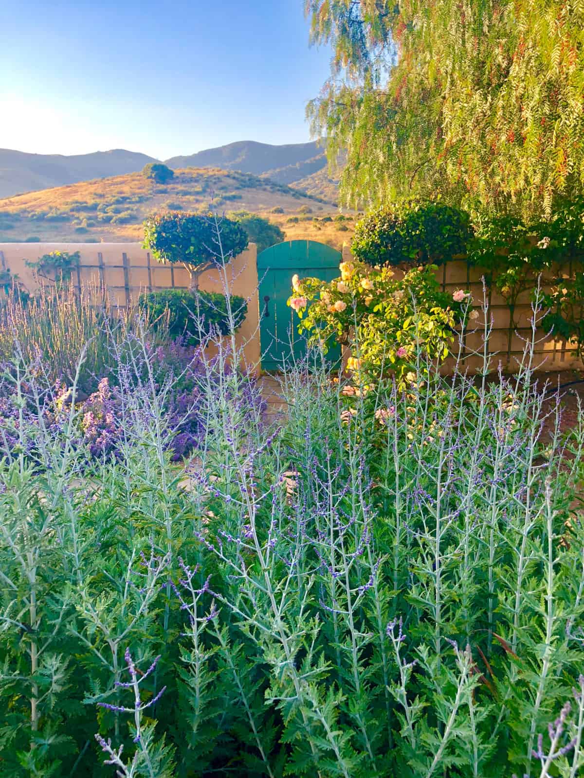 the importance of structure in the garden part two