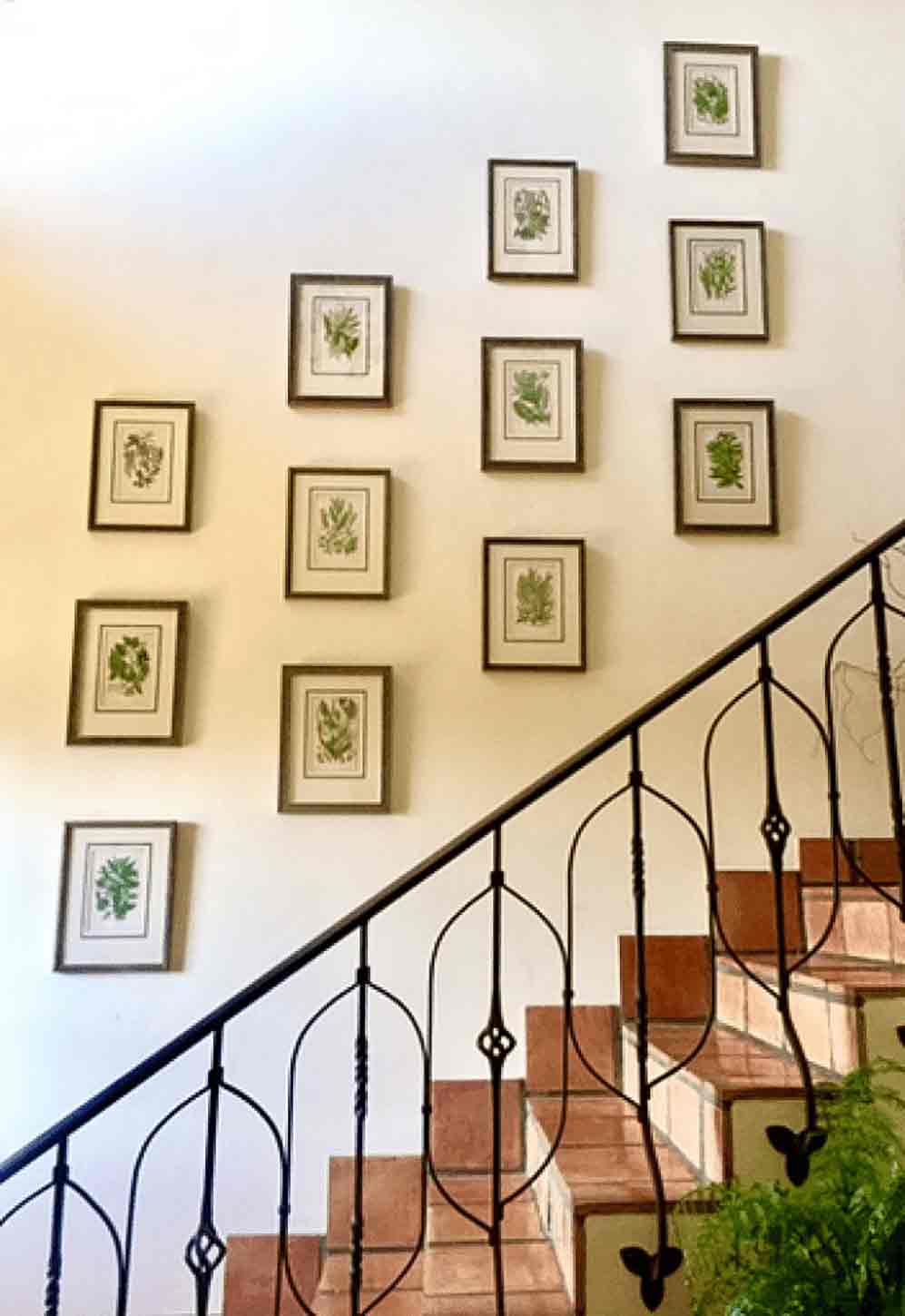 entry stairway with botanical prints