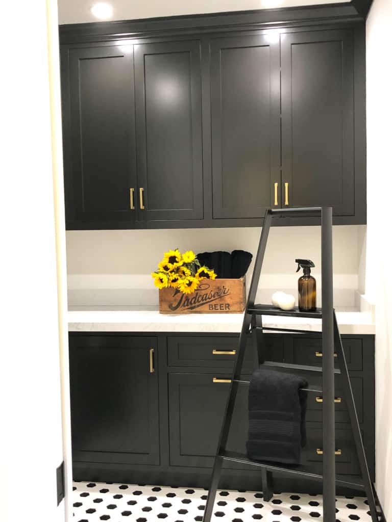 clever storage ideas for a small stylish laundry room