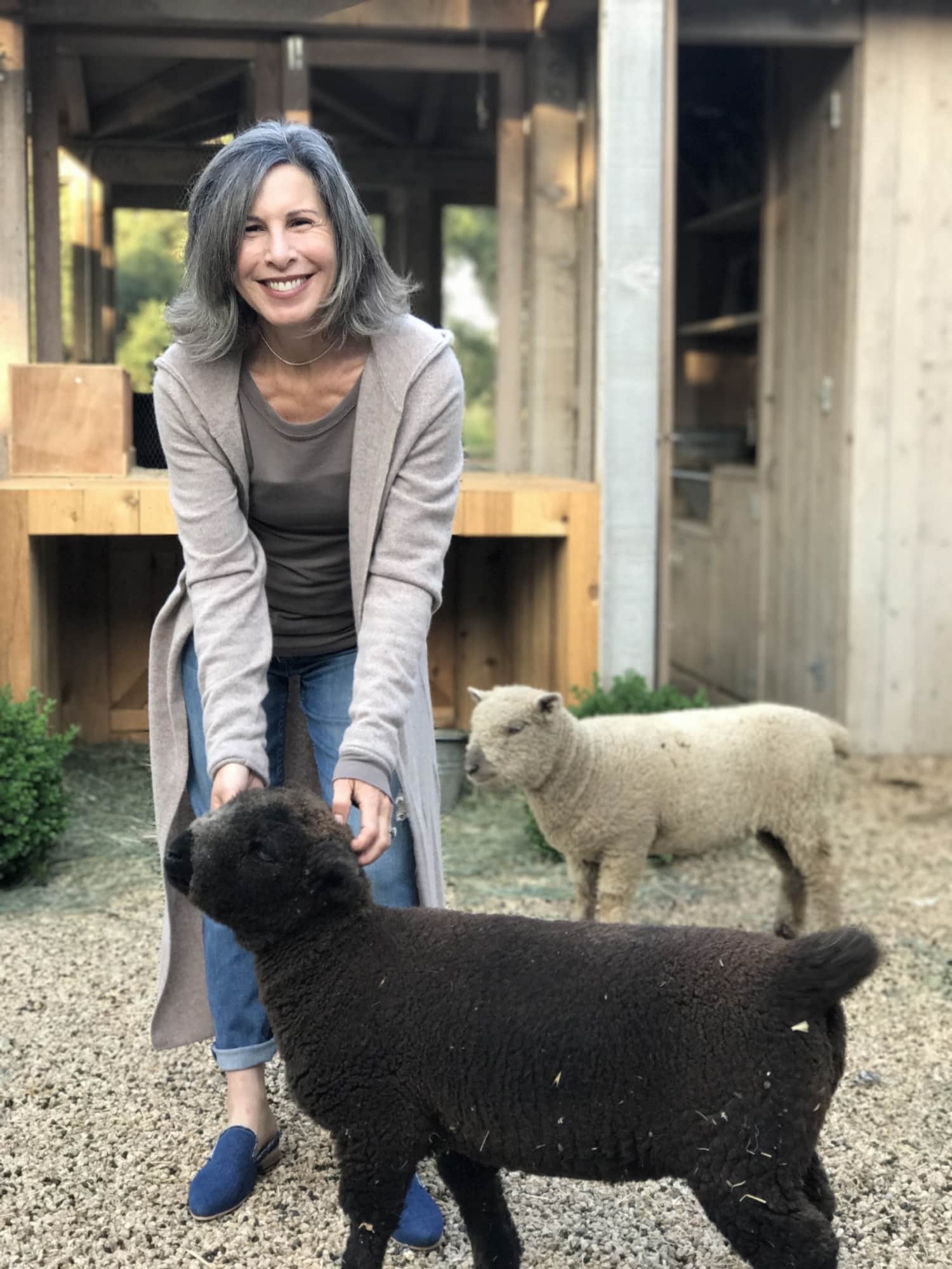 brook giannetti with sheep