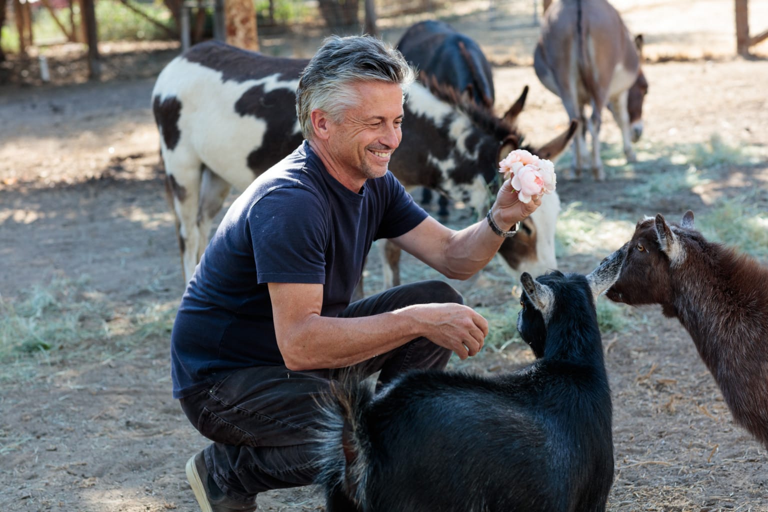 steve giannetti with goats