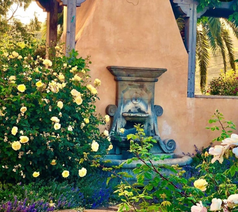 molyneux rose in cindy hattersley's garden