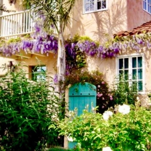 cindy hattersley's garden gate and wisteria