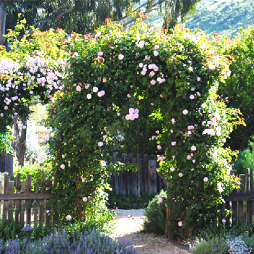 outdoor living-pool area and barn
