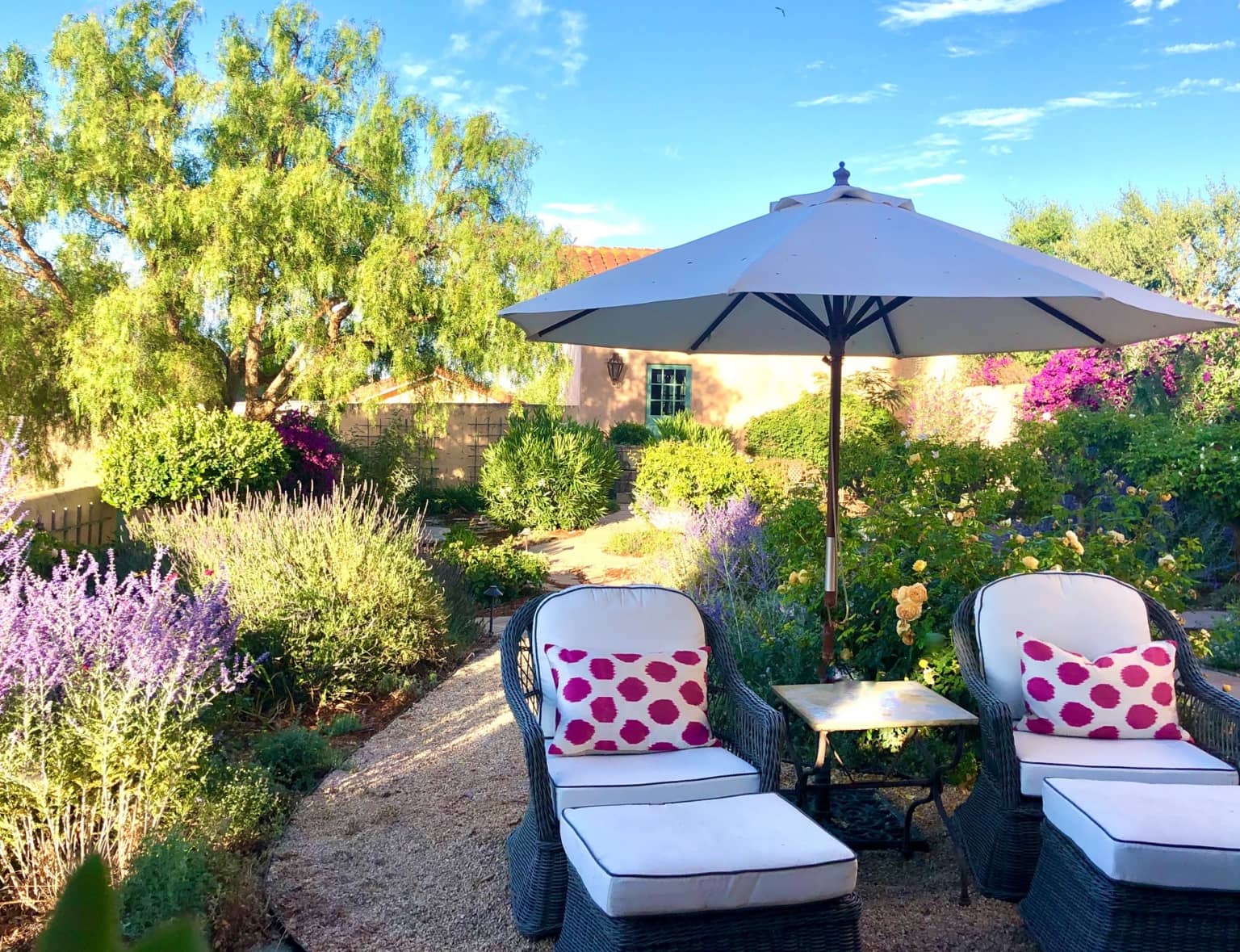 design blogger cindy hattersley's rose garden with lounge chairs