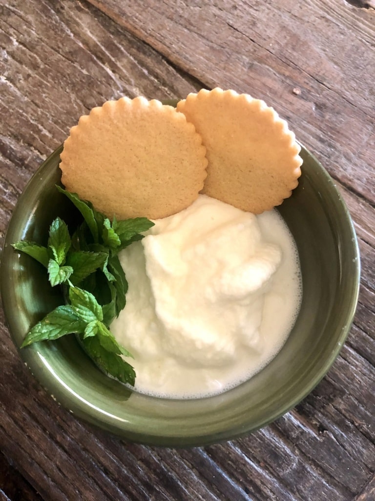 Steves Simply Delicious Vanilla Ice Cream