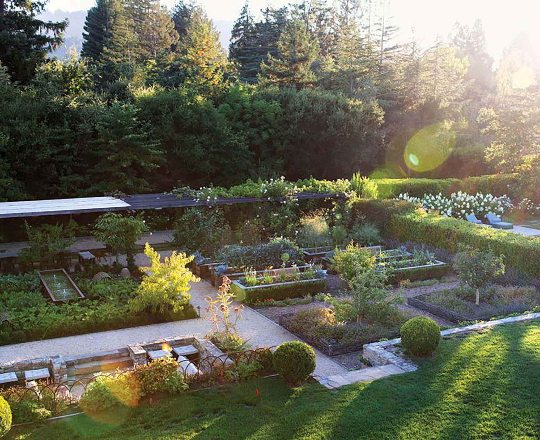 MARK SIKES PORTOLA VALLEY PROJECT GARDEN ON CINDY HATTERSLEY'S BLOG