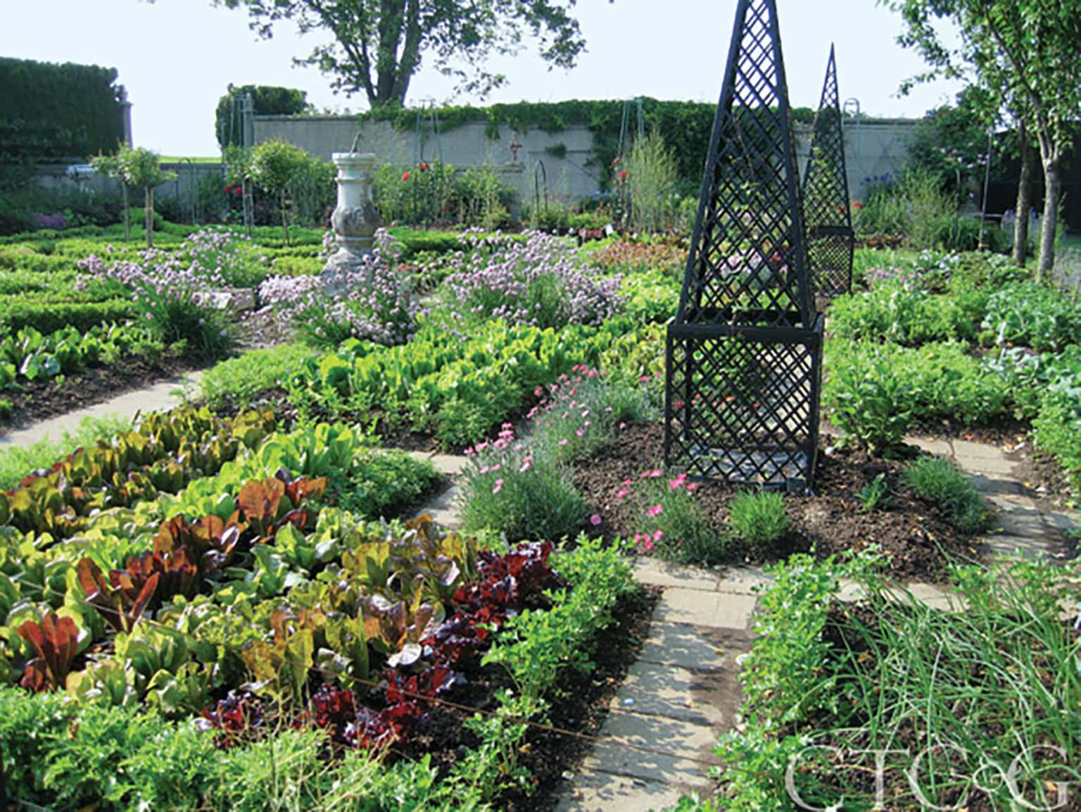 linda allard vegetable garde