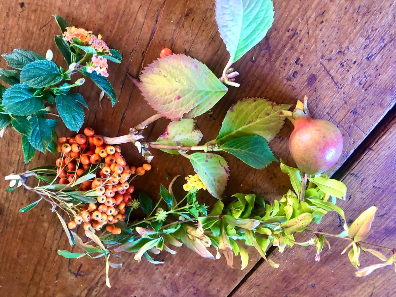 foraged florals on cindy hattersley's blog