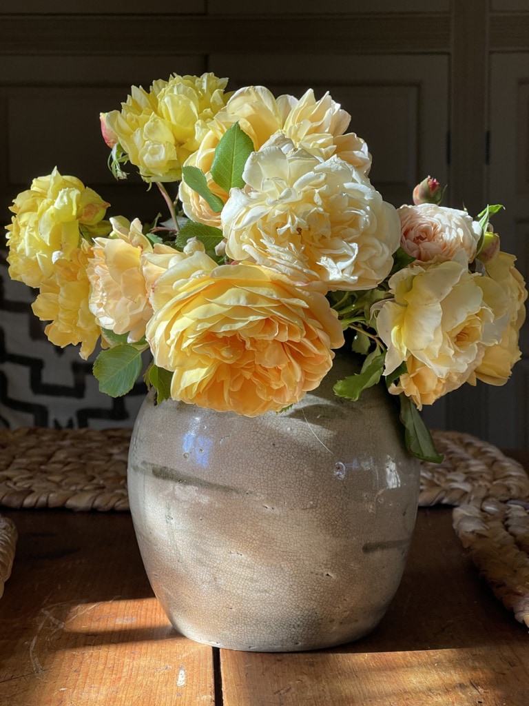 Cindy Hattersley's roses