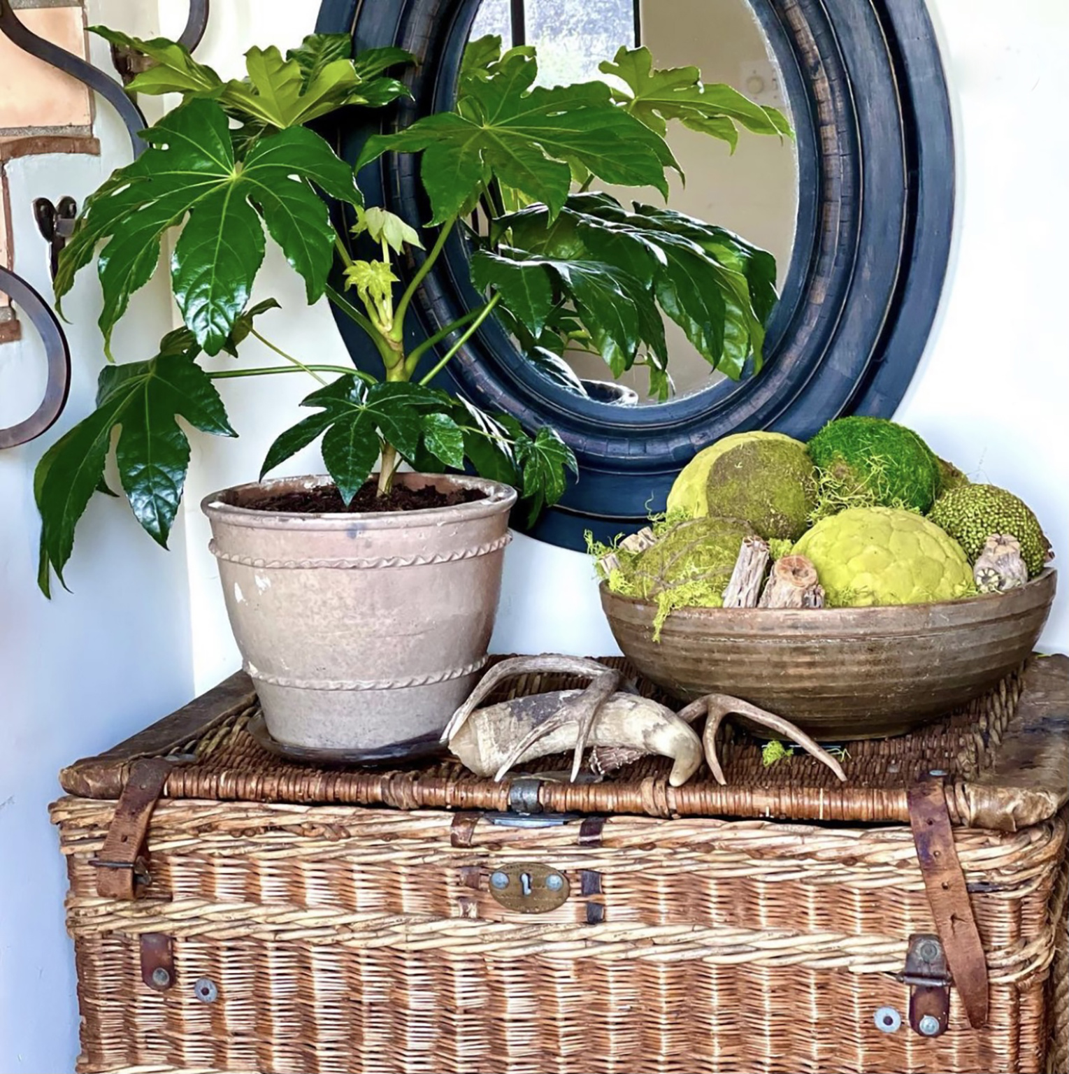 vintage travellng trunk in Cindy Hattersley's Spanish Colonial entry