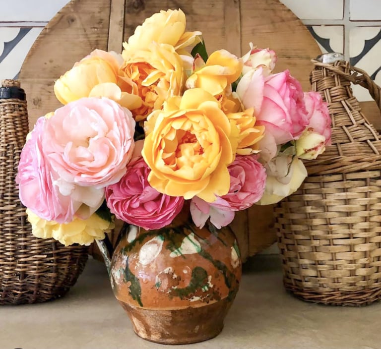 pink and yellow roses from cindy hattersley's garden