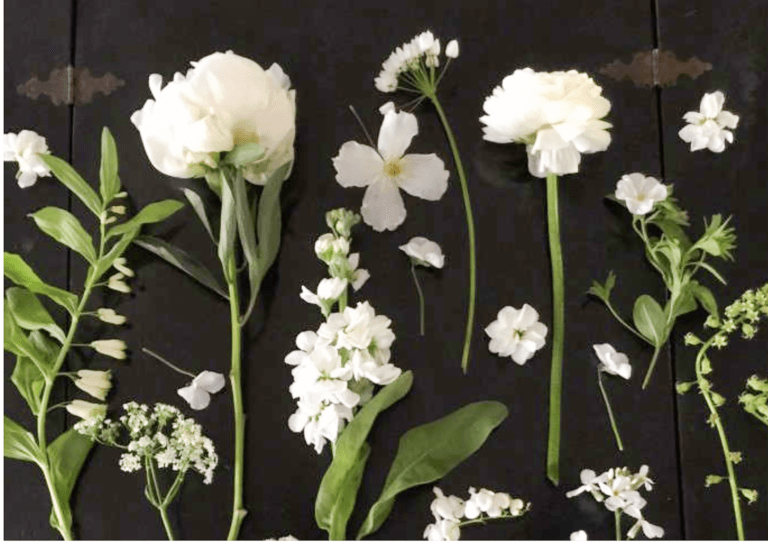 white flowers from gardenista white garden article