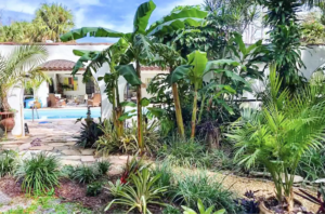 coconut casita pool & property