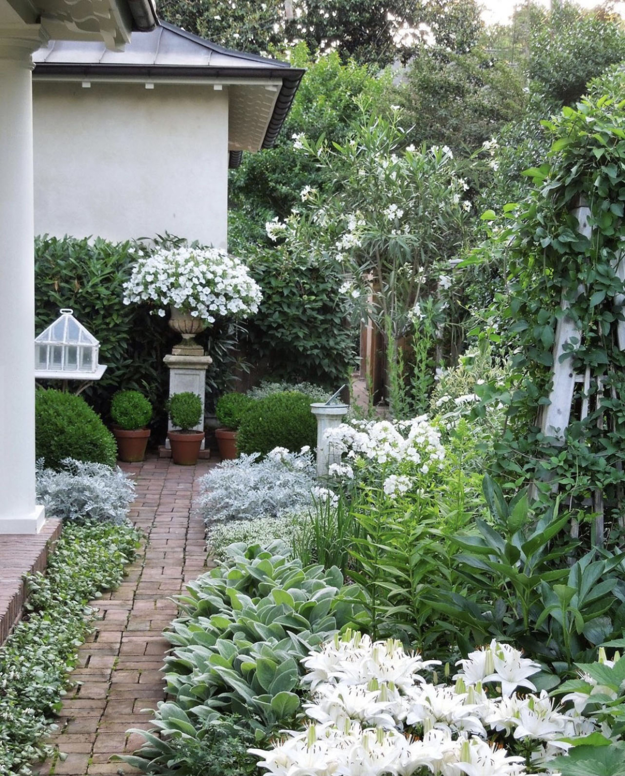 loi thai white garden