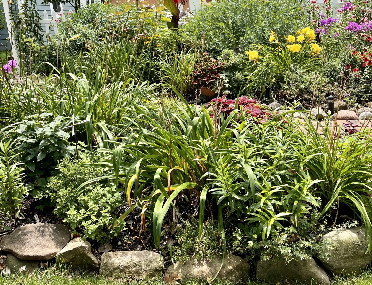 THE GIRLS BEHIND HOOSIER SISTER