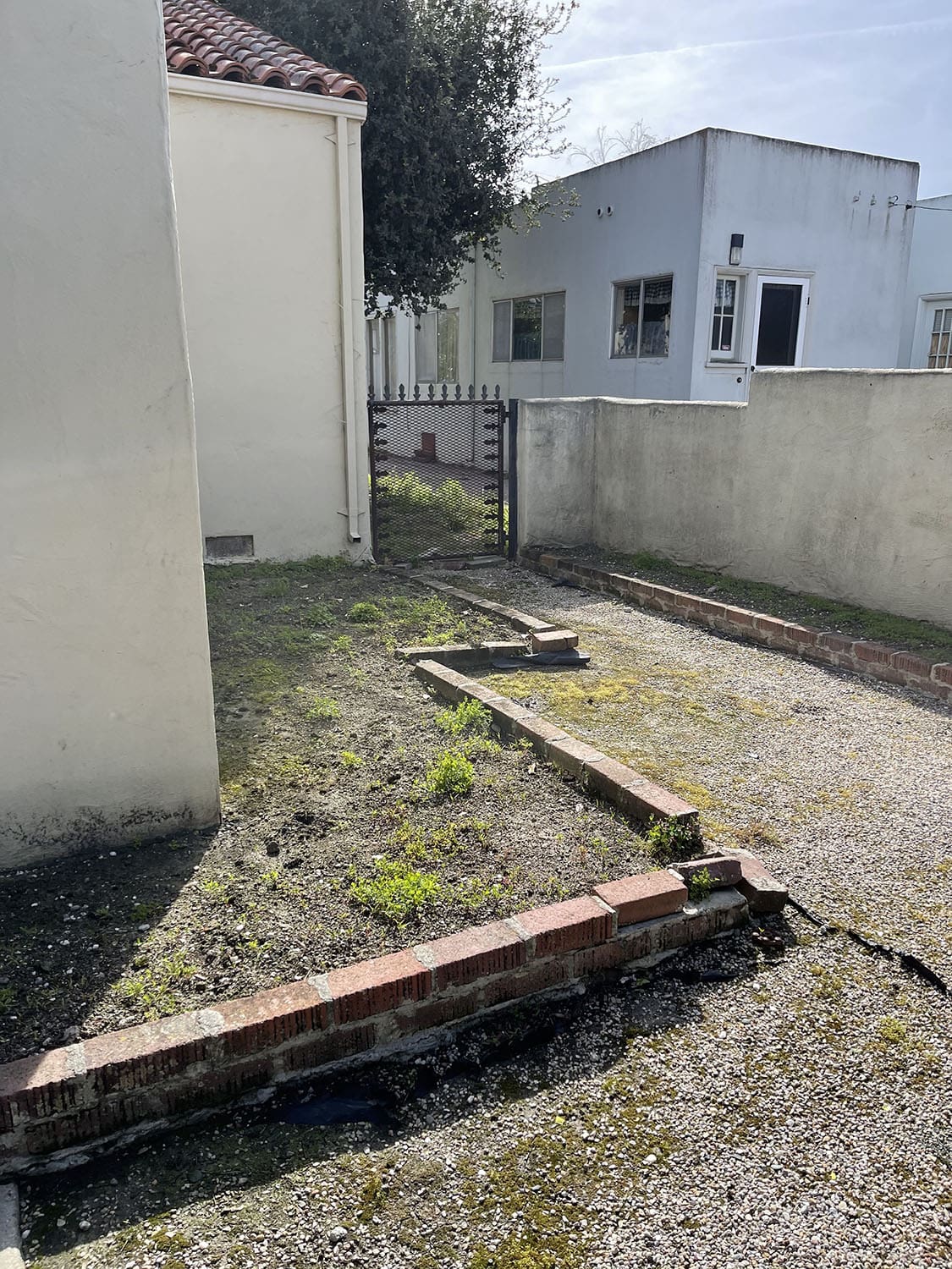 chestnut backyard before path