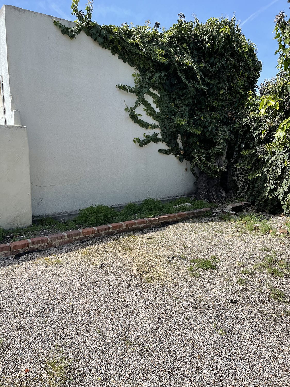 chestnut backyard wall