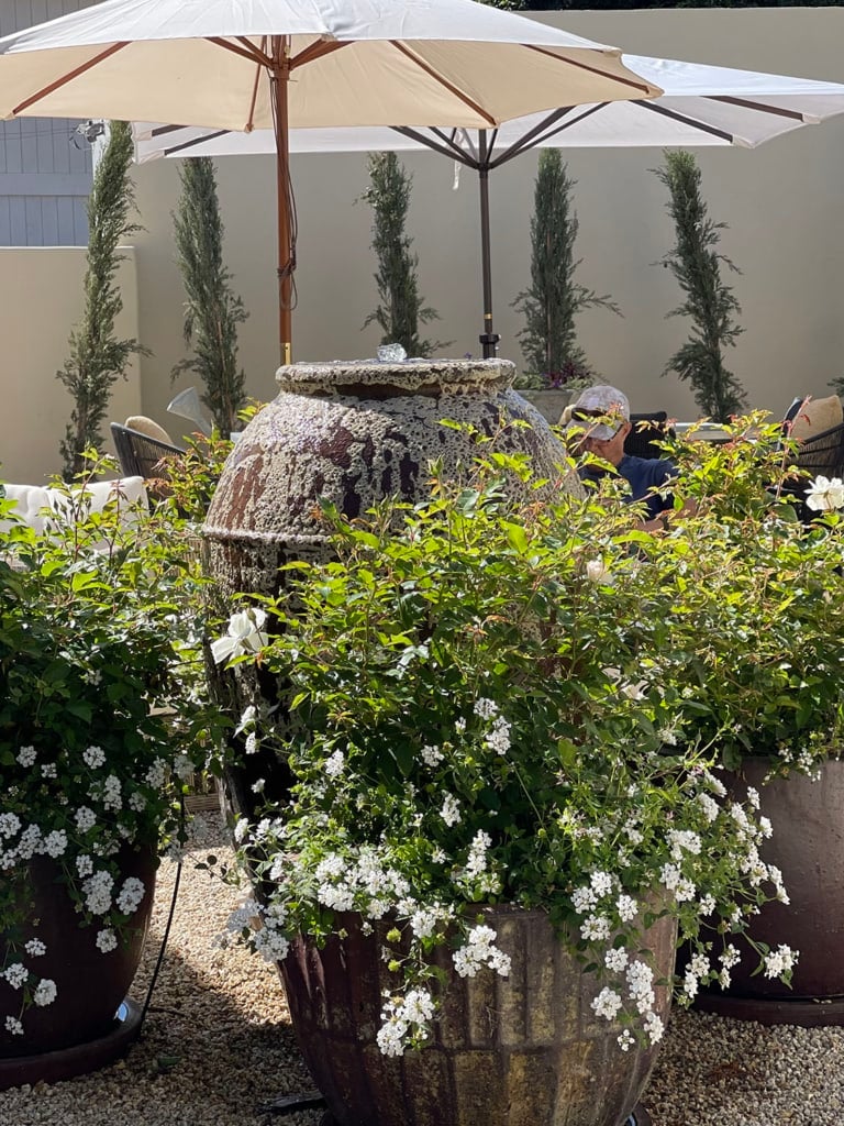 cindy hattersley's fountain backyard