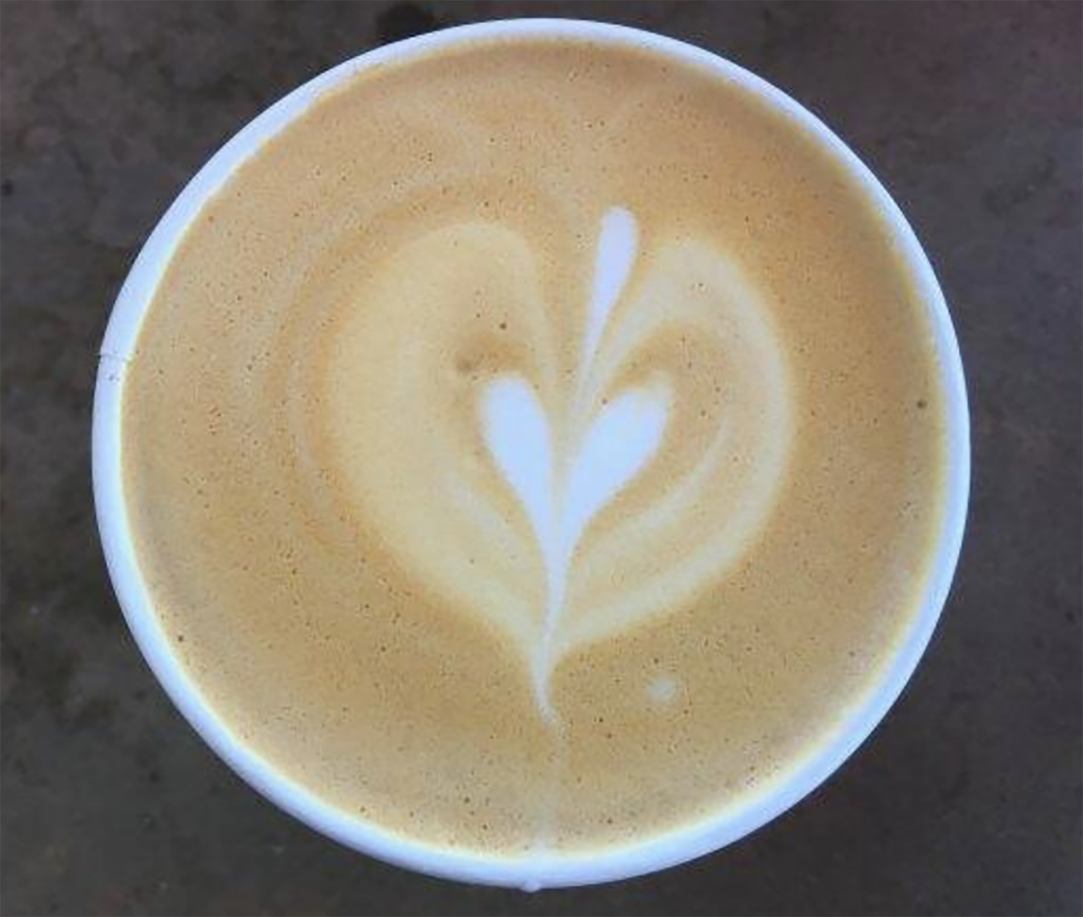 KINDNESS LIFE AT BELLA TERRA