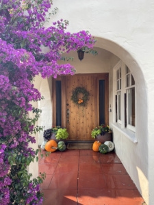 Cindy Hattersley's Porch with bouganvilla