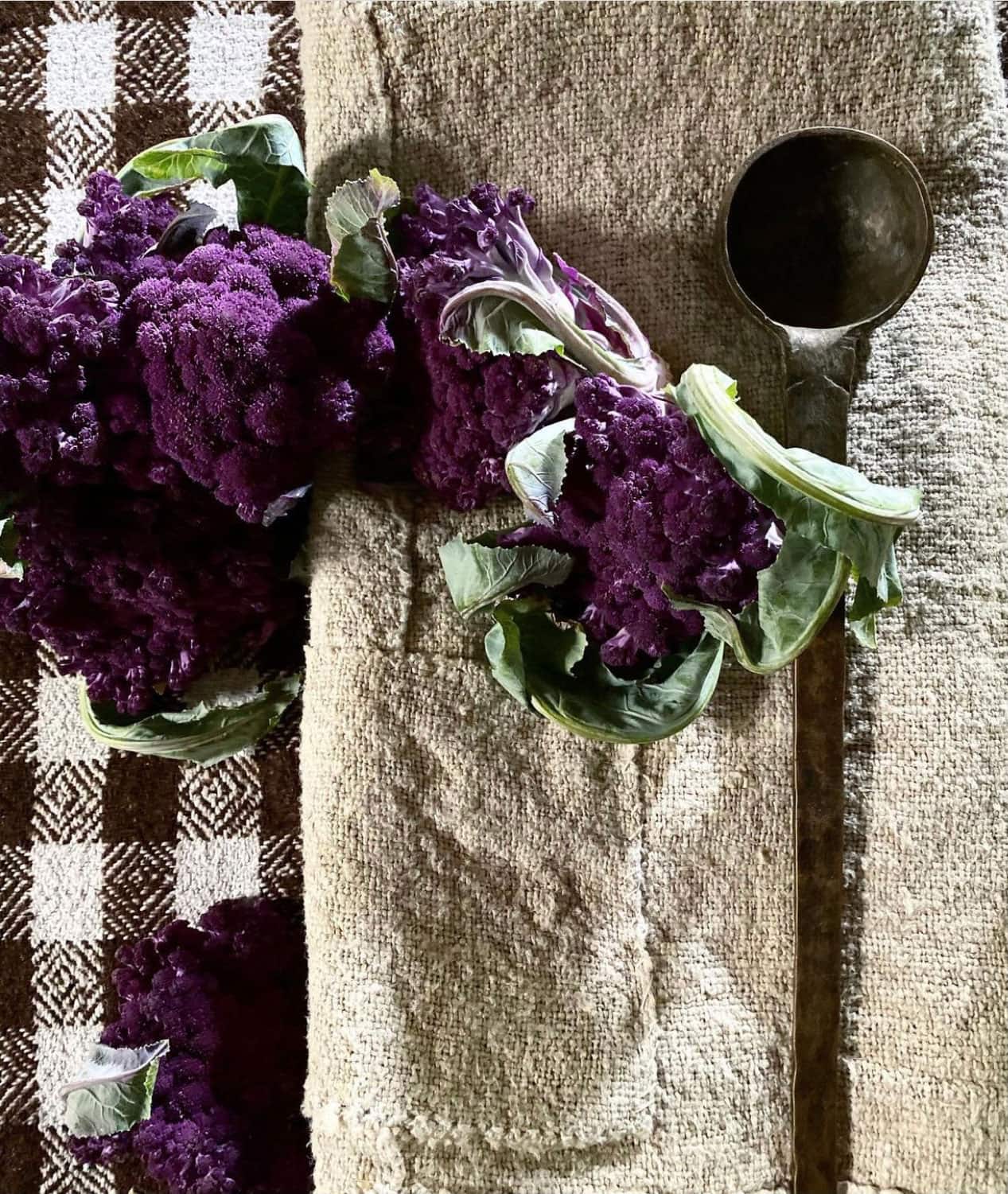 jill-sharp-weeks-inspo-vignette-with purple cauliflower