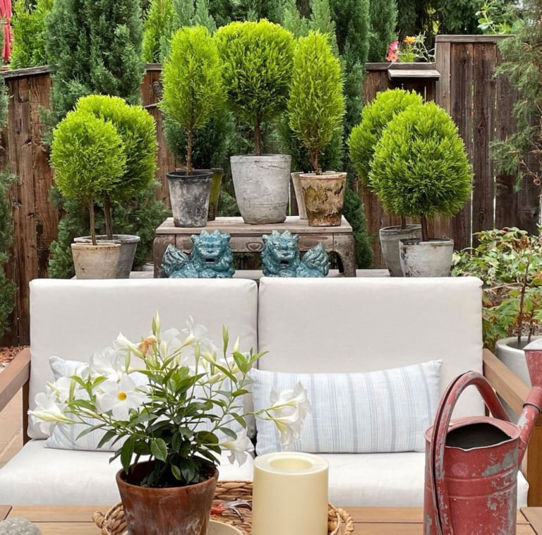 pacific Northwest Patio with topiarieswith topiari