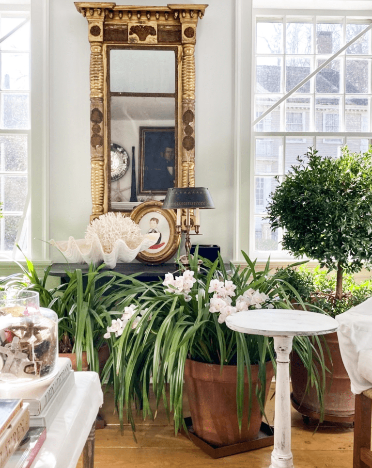 nora murphy sun room