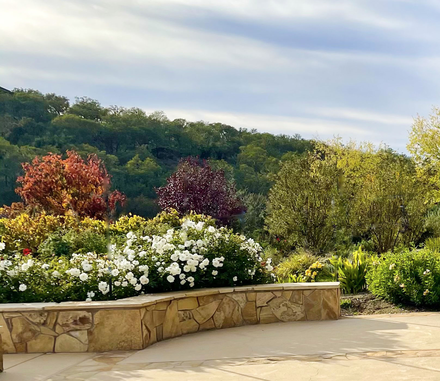 paso house rose garden