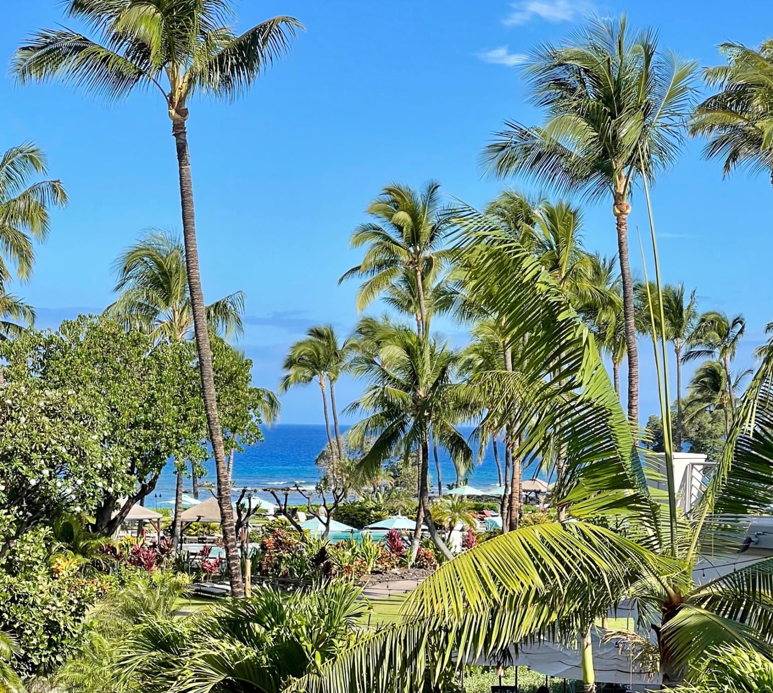 Fairmont-Orchid-pool-area