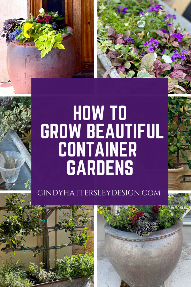 How to Grow Beautiful Container Gardens - Cindy Hattersley Design