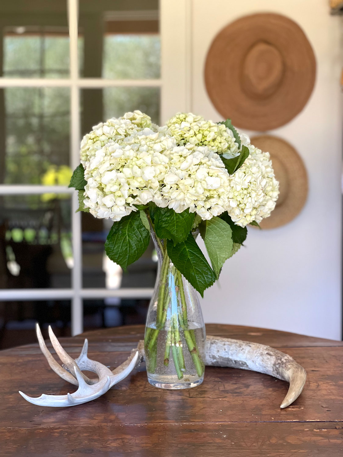 hydrangeas-on-table cindy hattersley's office/studio