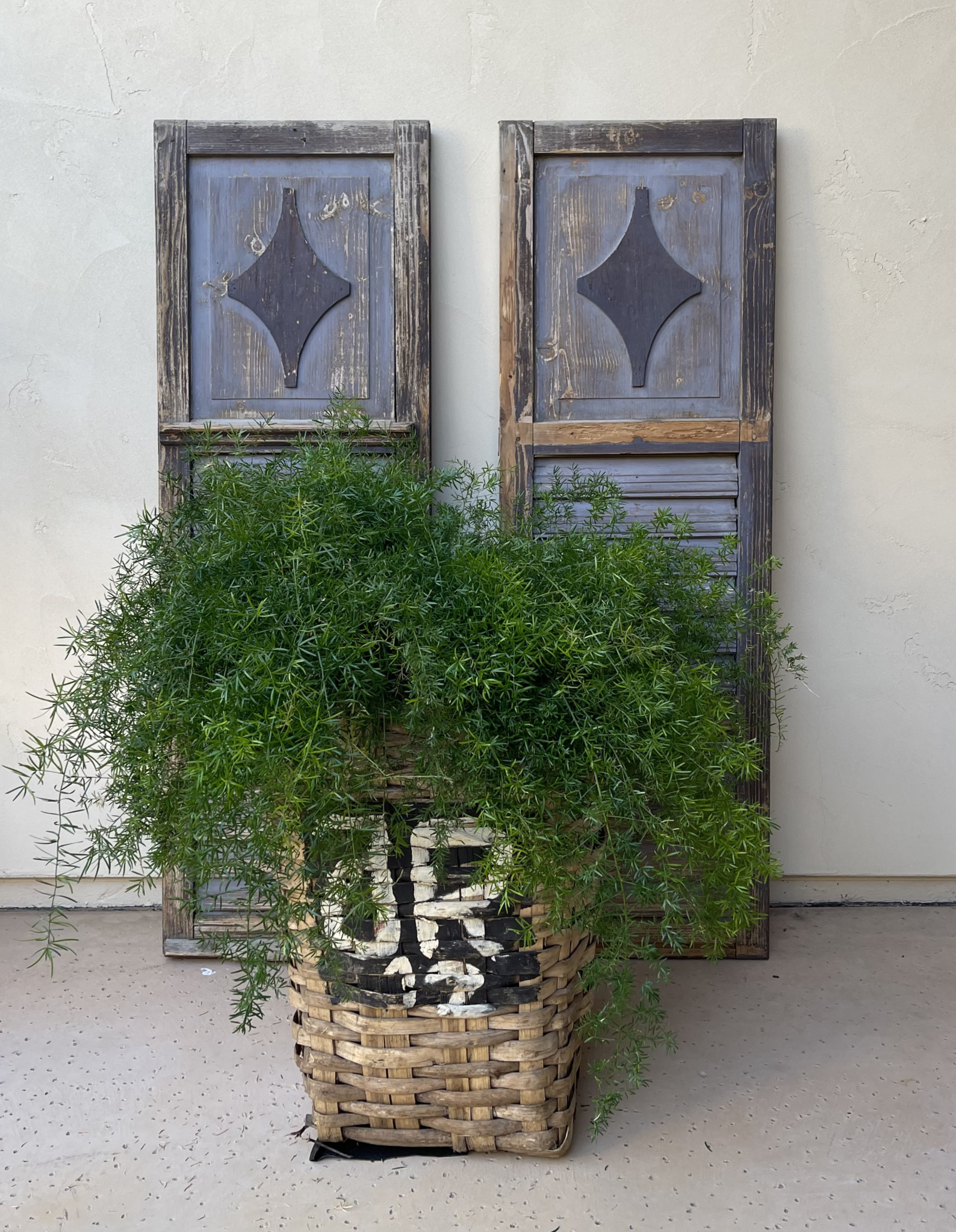 intage shutters and portugese baskets