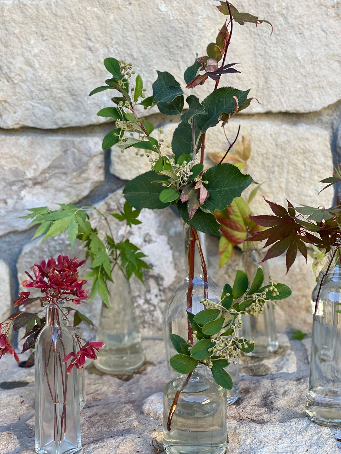bottles-filled-with-leaves