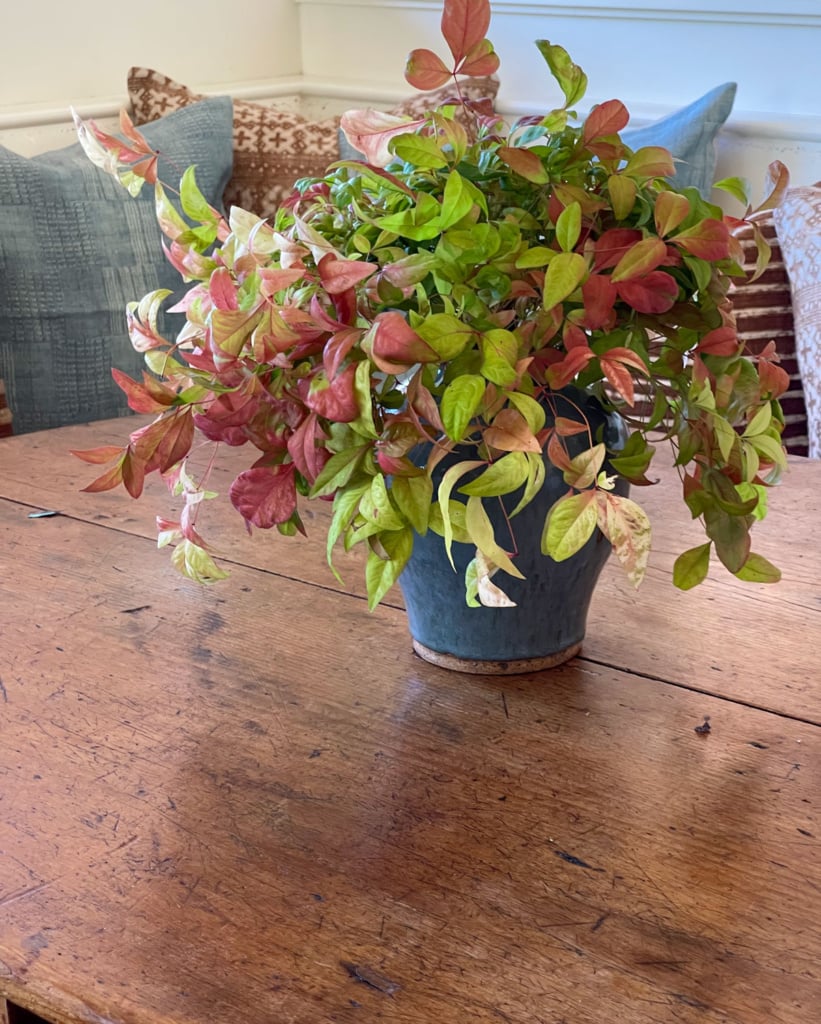 nandina-leaf-bouquet-in-cindy-hattersley's-kitchen