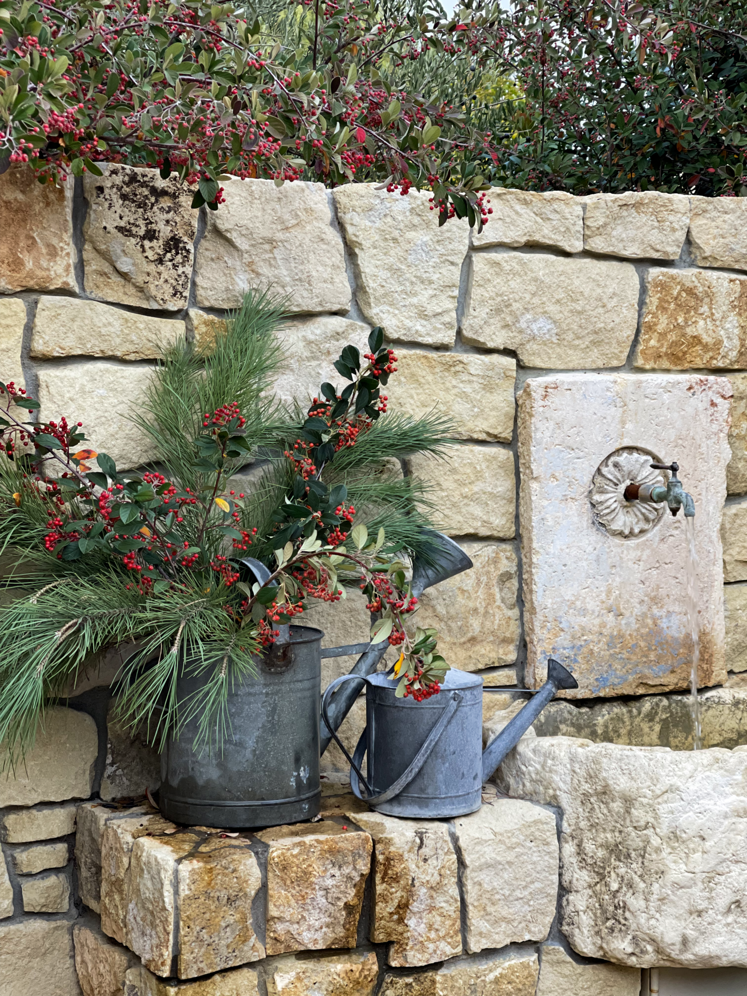 courtyard christmas watering cans