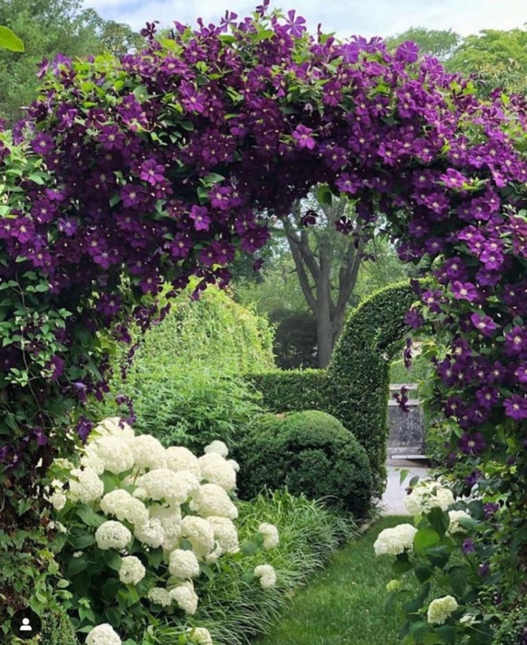 INA GARTEN-GARDEN