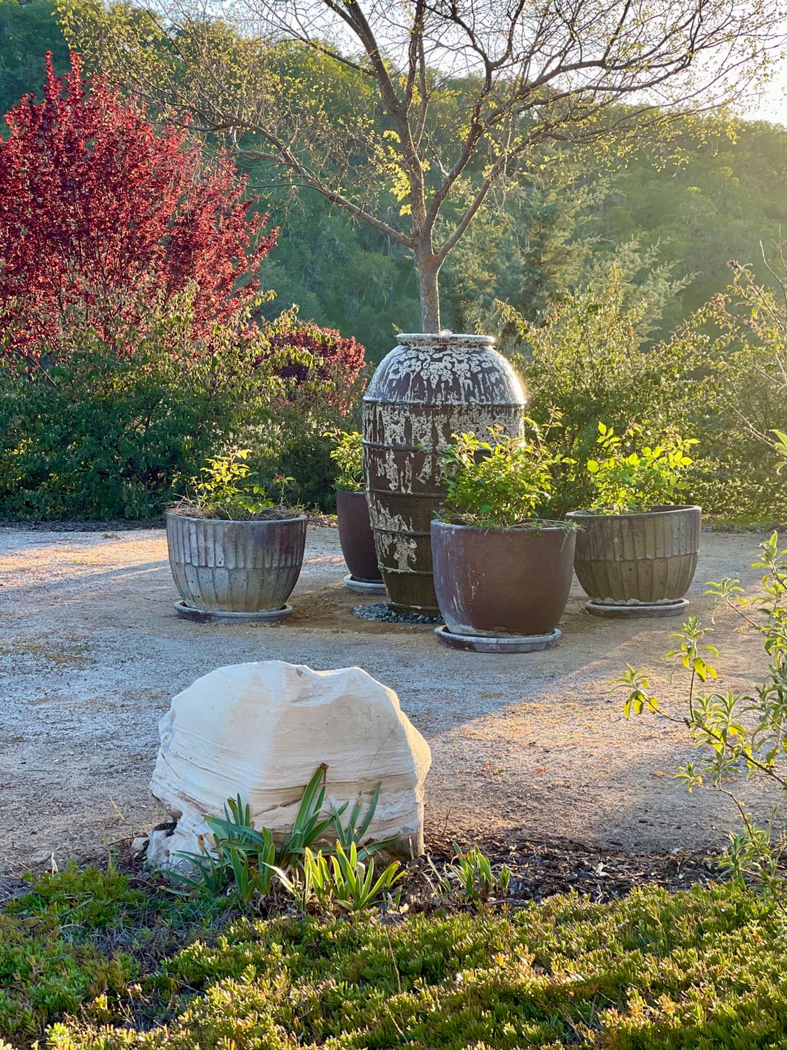 fountain area-cindy hattersley garden